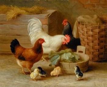 unknow artist Cocks 092 Germany oil painting art